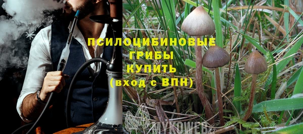 а пвп мука Верея