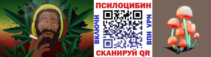 Купить где  Орлов  Галлюциногенные грибы прущие грибы 